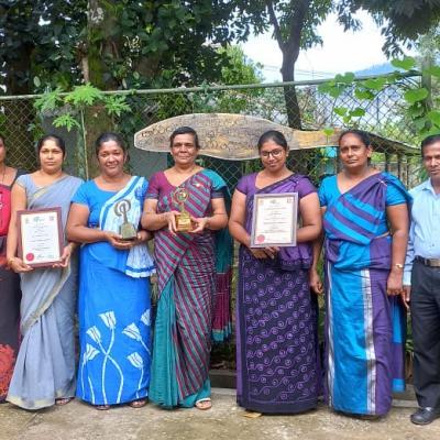 පාසල් ඵලදායිතා වැඩ කටයුතු